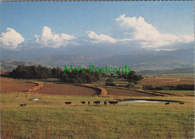 Drakensberg Foothills, South Africa