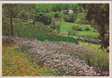 Kirstenbosch Botanical Gardens, Cape Town, South Africa